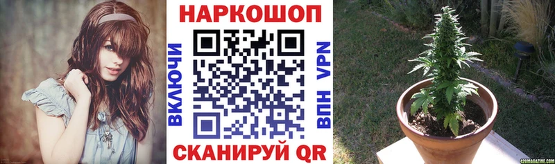 ГАШИШ Сурск