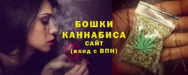 сатива Абдулино