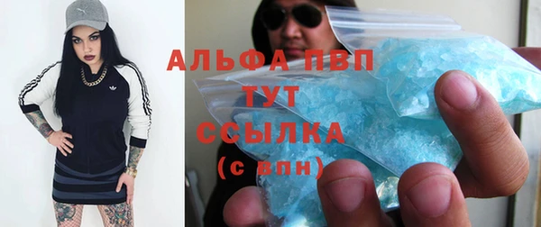 прущие грибы Абаза