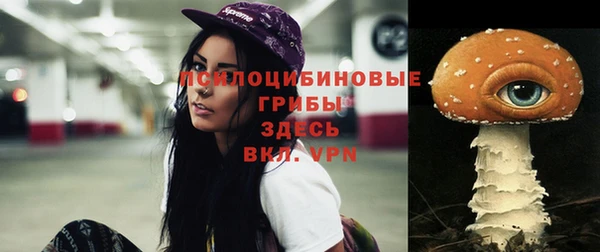 сатива Абдулино