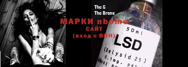 прущие грибы Абаза