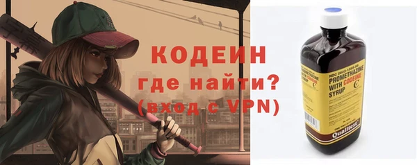 прущие грибы Абаза