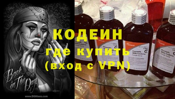 прущие грибы Абаза