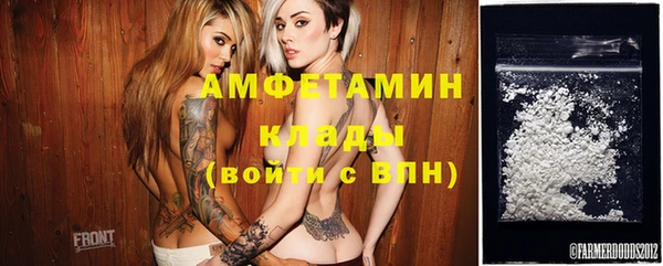 прущие грибы Абаза