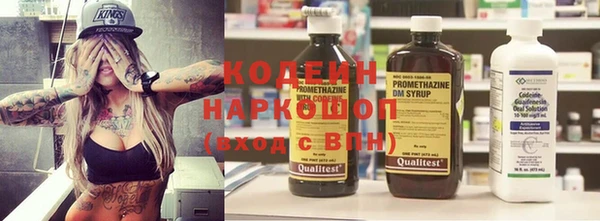 прущие грибы Абаза