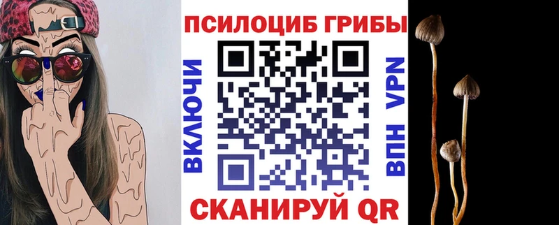 Галлюциногенные грибы прущие грибы  что такое   Сурск 